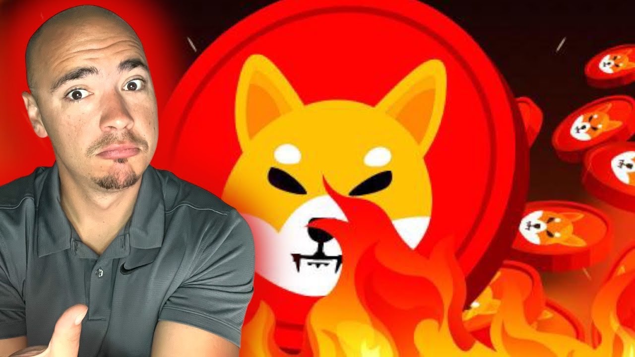 Big SHIB Burn and Burning 5 TRILLION SHIBA INU A MONTH FEASIBLE?