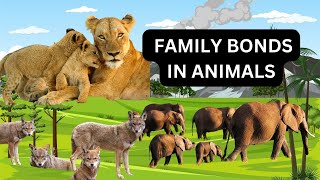 Parenting and Family Bonds in Animals @RockstarAcademy @TEDx