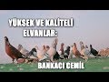 71 YAŞINDA TARİHTEN BİR SAYFA: BANKACI CEMİL - ANTAKYA