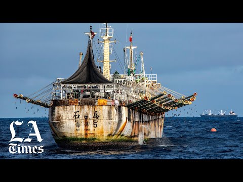 Chinese fishing fleets