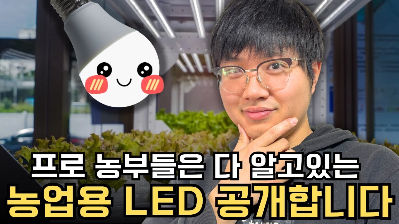 합리적인 LED 고르는 꿀팁 대방출 🌟 - YouTube
