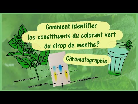 Vidéo: Comment Identifier Une Menthe