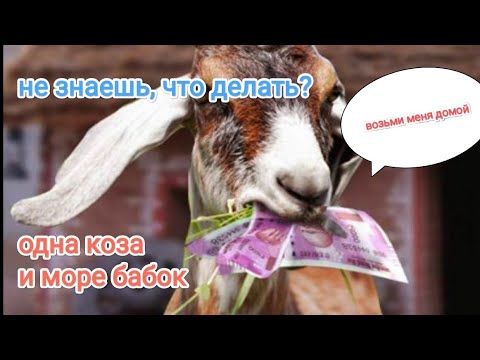 ВЫГОДА ОТ ОДНОЙ