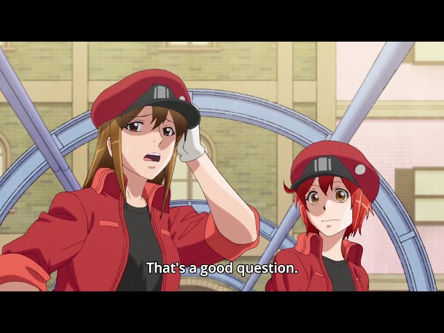 Cells at Work! Red Blood Cell