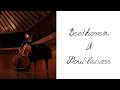 『Beethoven×Doublebass』(予告)