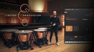 Discover the new Lineage Percussion | Updated Walkthrough with Maarten Spruijt