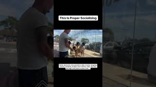 This Is Proper Socialising