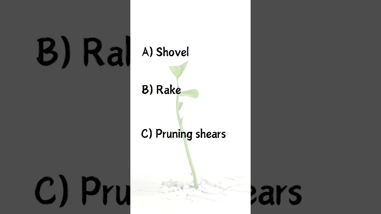 Garden Trivia Challenge! 🌿🌸 