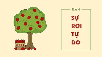 Bài 4: Sự rơi tự do- Vật lí 10