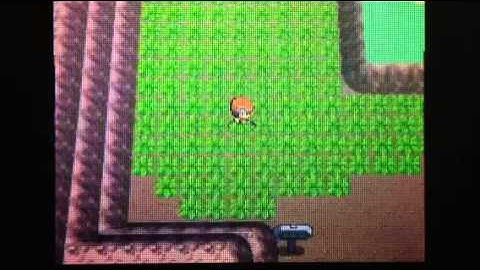 Live Reaction! Shiny Machop in Route 207 on Diamond!