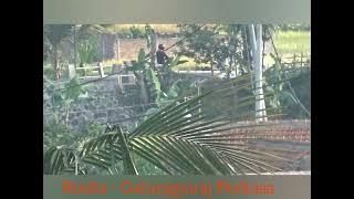 2  Rosita   Galunggung Perkasa OG  Al Fata0