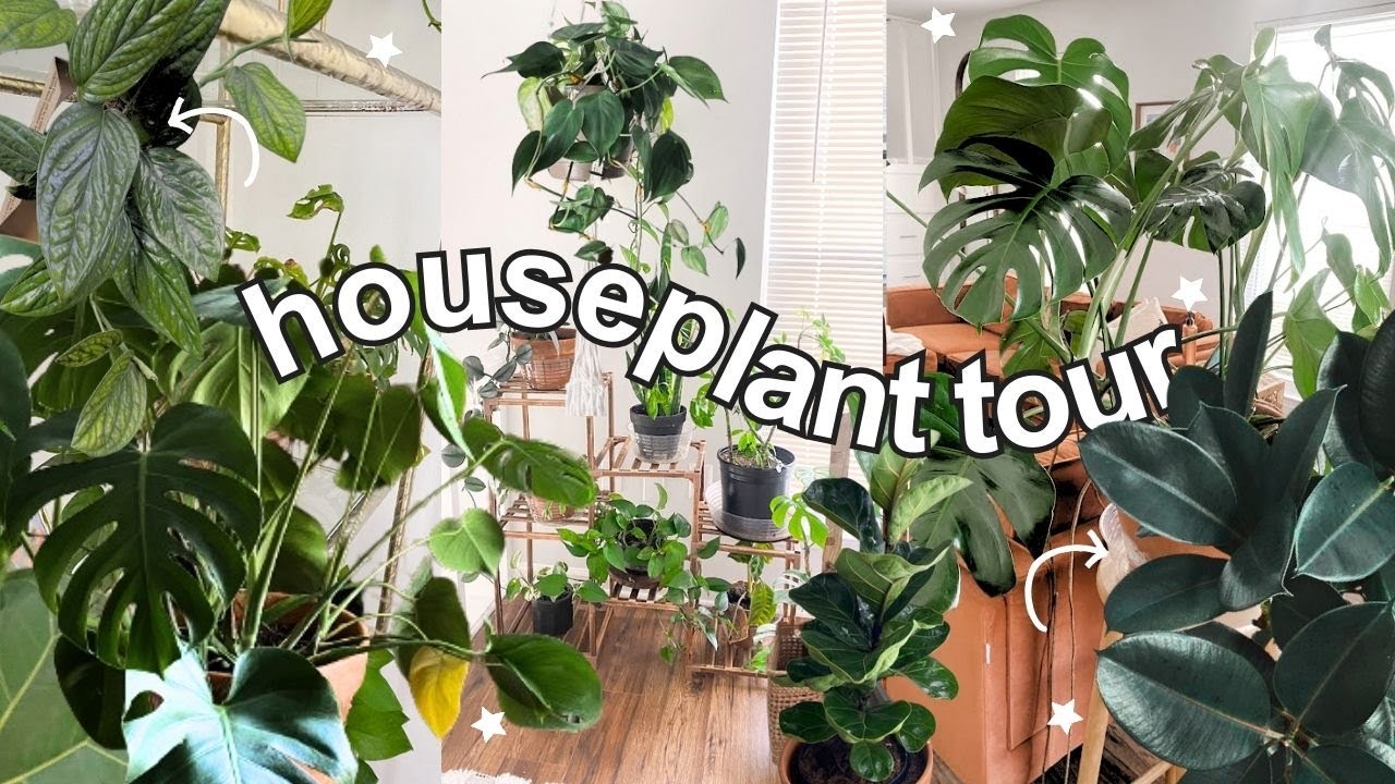 FULL SPRING HOUSEPLANT TOUR | Easy to Care for Houseplants | My Full ...