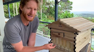 Beginner Q&A with Cedar Anderson 🍯🐝