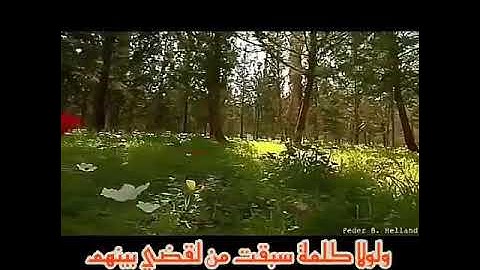 تلاوة خاشعة بصوت الشيخ أبوعاصم النمارنة (سورة هود)