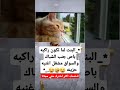 البنت لما تكون راكبه باص جنب الشباك والسواق مشغل اغنيه حزينه البنت لما تكون راكبه باص جنب الشباك والسواق مشغل اغنيه حزينه