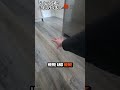 Builder Blunder