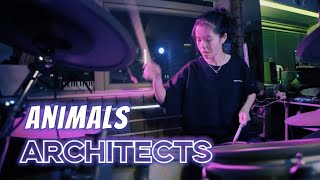 Animals(drum cover)- Architects