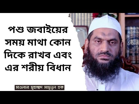 ভিডিও: একটি মুরগি রোস্ট করার সময় কোন দিকে?