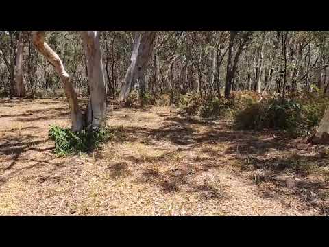 Fern Terrace Russell Island 1000m2 of residential land $140,000