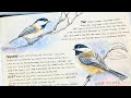 How to draw a realistic birdwatercolor nature journal