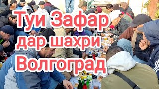 картинка: Туи Муборак Зафар