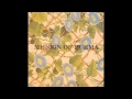 Mission Of Burma - VS. - Full Album