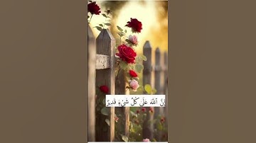 #تلاوة_خاشعة #معاذ_صيام #الله علي كل شيء قدير #قرآن #انشرها #اكسبلور #لايك ..