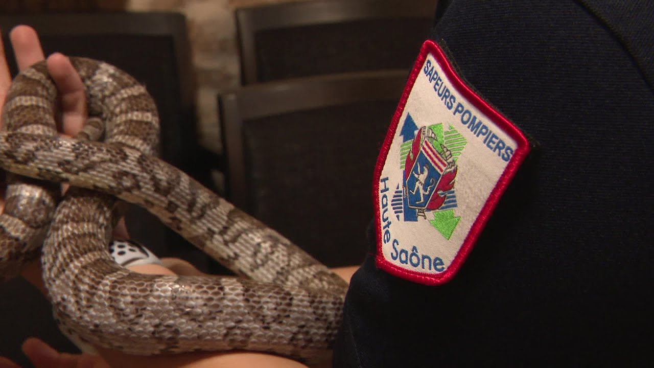 La formation des pompiers de Haute-Saône (2/4)