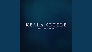 Video thumbnail of "Keala Settle - Bird Set Free"