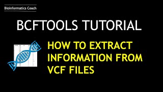 BCFTOOLS Tutorial | How I Extract information from a vcf file