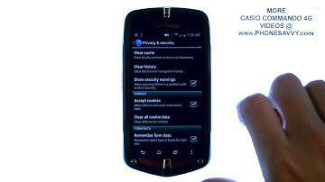 Casio Commando 4G - How Do I Clear Web Browsing History