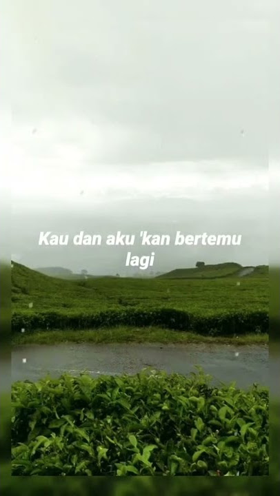 Tak Ingin Usai (Story WA aesthetic) #shorts #pagaralam #music #sadvibes