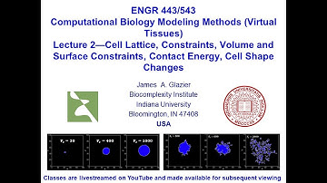 E443/543 Virtual Tissues, Lecture 2, Controlling Cell Properties in CC3D, January 16th, 2024