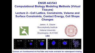 E443/543 Virtual Tissues, Lecture 2, Controlling Cell Properties in CC3D, January 16th, 2024