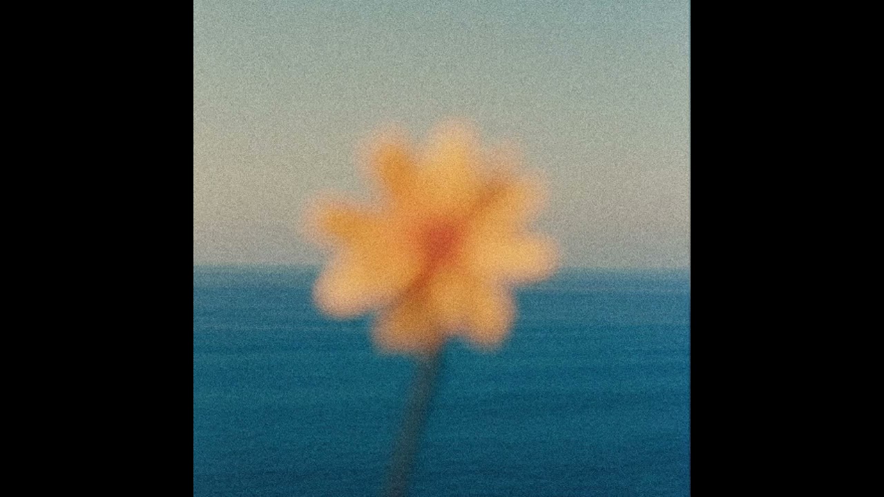 Paccu, Djomood - Still Want More