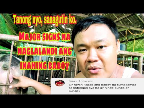 Video: Application para sa refund ng sobrang bayad na halaga ng buwis, pamamaraan ng refund at mga tuntunin