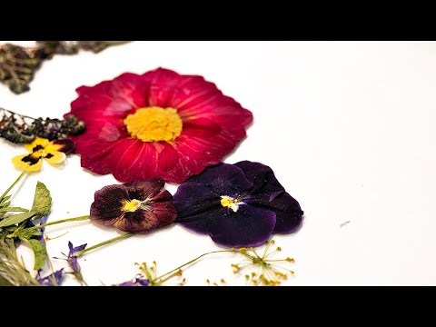 How To Press Flowers - 4 different methods 🌷🌻(Can they press in 15  seconds?) 