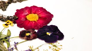 4 Ways to Press Flowers for Art and Home Decor -  How to Dry Flowers and Keep Their Color