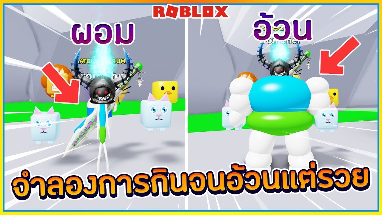 Roblox Chicken Man Questions Galaxy Rainbow Background - roblox a chassis plugins