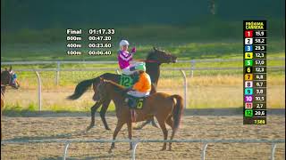 Vidéo de la course PMU CAMALEON H.