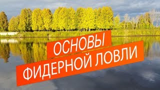 Основы фидерной ловли. Выбор места ловли