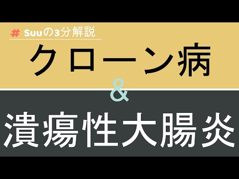 【3分医学】クローン病と潰瘍性大腸炎/消化器