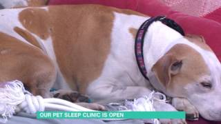 How To Stop Your Pet Waking You Up | This Morning