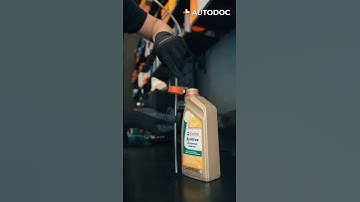 Life hack: adding transmission fluid | AUTODOC #shorts