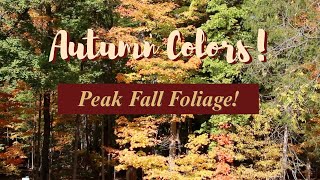The best of Autumn Color!   Peak Fall Foliage in Ohio!