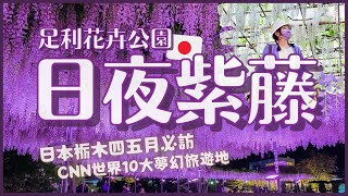 Wisteria in Japan????Ashikaga Flower Park 2022 