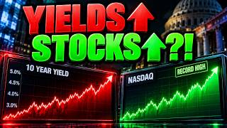 Yields Hit a 24-Year High. Stocks Hit a Record.