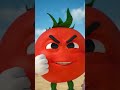 tomato talking #2026