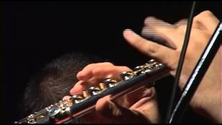 Minha flauta de prata ( Jaime Florence )