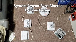 System Sensor Sync Module Demonstration